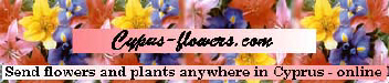 Cyprus flowers for all your floral wedding requirements